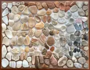 150 Natural Clam Shell smooth seashell frags beach jewelry pebble art craft cabs