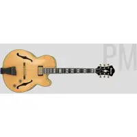 在飛比找蝦皮購物優惠-【名人樂器明誠店】IBANEZ 日廠 PM200 NT