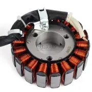 For Aprilia Generator Stator Coil Vespa GTS250 GTS300 GTV250 Carnaby 250 300