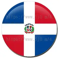在飛比找蝦皮購物優惠-多明尼加 國旗 胸章 (別針) / 世界國旗