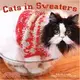 Cats in Sweaters 2016 Calendar