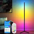 Corner Floor Lamp, RGB Color Changing Mood Lighting, Dimmable LED Modern Floor L