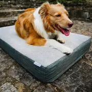 Charlie's Universal Dog Orthopedic Foam Crate Mattress Bed Grey- Large