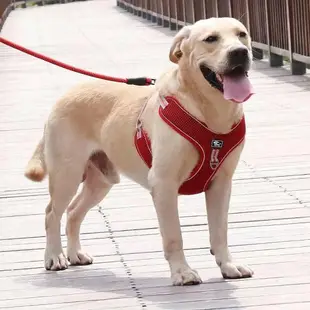 狗狗胸背帶 胸背帶 中大型犬胸背帶 大狗胸背帶 狗牽繩胸背帶 寵物胸背帶 牽引繩 防暴衝