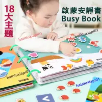 在飛比找蝦皮購物優惠-寶寶益智玩具 啟蒙安靜書 Busy Book 幼稚園早教認知