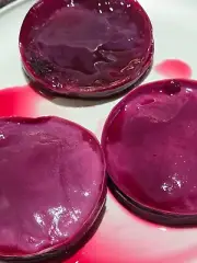 4" Red Wine Vinegar Mother, Mother Of Vinegar, SCOBY