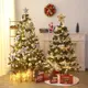 聖誕樹 加密環保家用豪華套餐  聖誕節商用場景裝飾樹大型