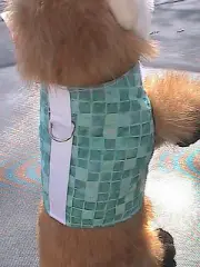 Small Animal Harness - Teal Tiles - Dog, Cat, Monkey