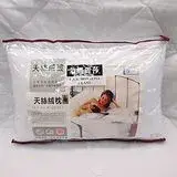 在飛比找遠傳friDay購物優惠-《SHINEE 》台灣製 天然(天絲健康抗菌枕) - 2入