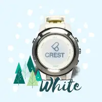 在飛比找Yahoo!奇摩拍賣優惠-台灣潛水---CREST CR-4 潛水電腦錶+贈品