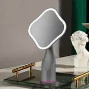 LED Makeup Mirror Vanity Light USB Recharg