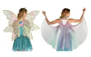 Mythical Iridescent Organza Fairy Wings Ladies Costume Accessory
