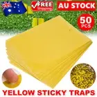 Sticky Trap Fruit Fly Trap Insect Trap Yellow Sticky Fly Traps Sticky Fly Paper