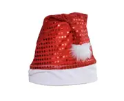 C266 2PCS Sequined Christmas Hat Multicolor Christmas Hat Santa Hat Christmas Ornament Gift for Christmas Festive Holiday