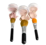 TRIO WITH BRUSHES Mineral Makeup Kit Brush Set Foundation Concealer Blush