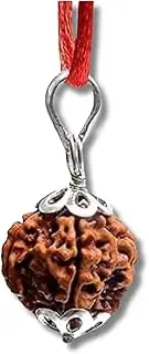 [ASTRO CARE INDIA] One face 1 Mukhi Rudraksha Certified एक मुखी रुद्राक्ष ओरिजिनल ।। Nepali Ruthratcham Rudraksh Natural 1 faced Rudraksha Pendent (Brown) with Certificate, Astrologer choice, Standard,