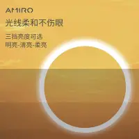 在飛比找Yahoo!奇摩拍賣優惠-【熱賣精選】 amiro隨身日光鏡FREE系列LED化妝鏡帶