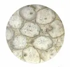 15" Agate Side Table Top Natural stones Work Handmade Home Decor