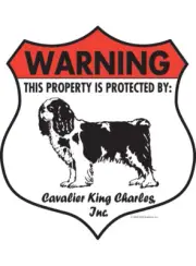 Warning! Cavalier King Charles - Property Protected Aluminum Dog Sign - 7" x 8"