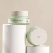 MIZON - Phyto Plump Collagen Day Cream 50ml