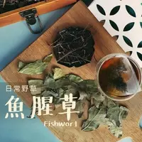 在飛比找森森購物網優惠-日常野草 靜心明朗 魚腥草青草茶(4gX10包/盒)