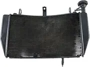 Engine Radiator Fit for Ducati Monster 821 1200 2015-2021 Motorcycle Accessories Radiator Cooler Aluminium Cooling Radiator Grille