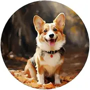 Corgi Dog Acrylic Fridge Magnets Round Magnetic Refrigerator Sticker Funny Cute Refrigerator Decorative Magnets for Fridge Office Whiteboard Kitchen Cabinets Locker