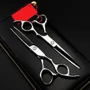 Professional Hair Cutting Shears, Professional Japan 440c Steel 6 inch Silver Set Haircut thinning Barber Hair Cutting Shears Hairdressing Scissors