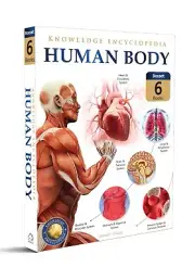 5-8DAYS DELIVERY- Human Body Box Set : Knowledge Encyclopedia For Children