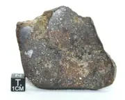 Meteorite NWA 13313 L3-6 Breccia Primitive Chondrite Type 3 Rare meteorite 64 gr