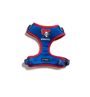 Newcastle Knights NRL Dog Harness XS-XL