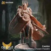 Caedes - Erdydion's Chosen - 3d PrintTTRPG Miniature Knight Warrior D&D Paladin