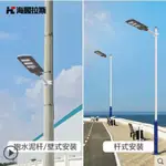 太陽能路燈300W200W100瓦家用庭院燈戶外新農村人體感應光控路燈-三文魚賣場