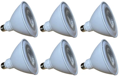 6, RAB 15W = 100W Dimmable LED PAR38 40° Flood Light Lamp Wet Loc 5000K Daylight