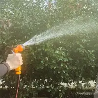 在飛比找樂天市場購物網優惠-澆花水管洗車澆菜澆水灑水噴頭園藝園林高壓噴霧花園花灑水槍套裝