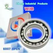 6007-OPEN Radial/Deep Groove Ball Bearing 35mm ID x 62mm OD x 14mm W By Premium