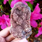 Fossilized Agate shell Cluster druzy natural crystal healing gemstone - #15A