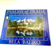 Psalms of Praise Collection 1000 Piece Puzzle Grand Teton National Park New