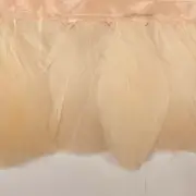 Goose Nagoire Feather Ribbon Strung per 10cm - Peach