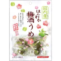 在飛比找蝦皮商城優惠-野澤梅酒梅(200g/包)[大買家]