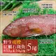 【優鮮配】峇里島海底紅金-野生紅鰷石斑魚X5條(450±50G/條)超值免運組