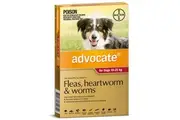 Advocate Large Dog 10-25kg Red Spot On Flea Wormer Treatment 3 Pack