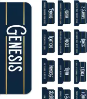 Manly Blue Bible Tabs for Men - Soul Nourishing Summaries - 66 Peel-