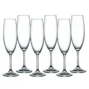 NEW Bohemia Lara Champagne Flute 220ml Set 6pce