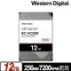 【含稅公司貨】WD威騰Ultrastar HC520 12TB 企業級硬碟 彩盒裝 HUH721212ALE604