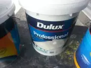 DULUX 10 LITRE PRO INTERIOR CEILING-FLAT ANTIQUE-WHITE COLOR PAINT