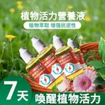 【活力素】植物活力素 營養液 通用 高濃度 活力素 養花 專用 多肉 盆栽 植物 濃縮營養液 植物花肥