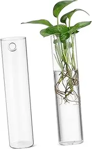 TOGEVAL 2Pcs Glass Wall Hanging Vases Sleek Cylinder Wall Planters for Indoor Hydroponics for Plant Propagation Home Decor Easy Care and Low Maintenance