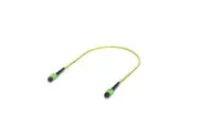 Ubiquiti OS2 MPO-12 APC Fiber Patch Cable, 0.5 m, Single-pack, Indoor OS2 Single-mode,MPO-12 Type B APC Connectors, For 100G Applications