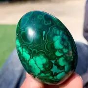 150G Natural glossy Malachite egg transparent cluster crystal mineral sample